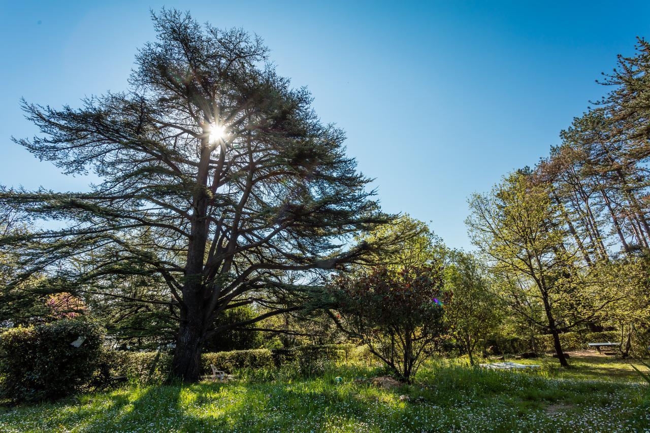 L'Auberge du Cèdre Lauret  Esterno foto