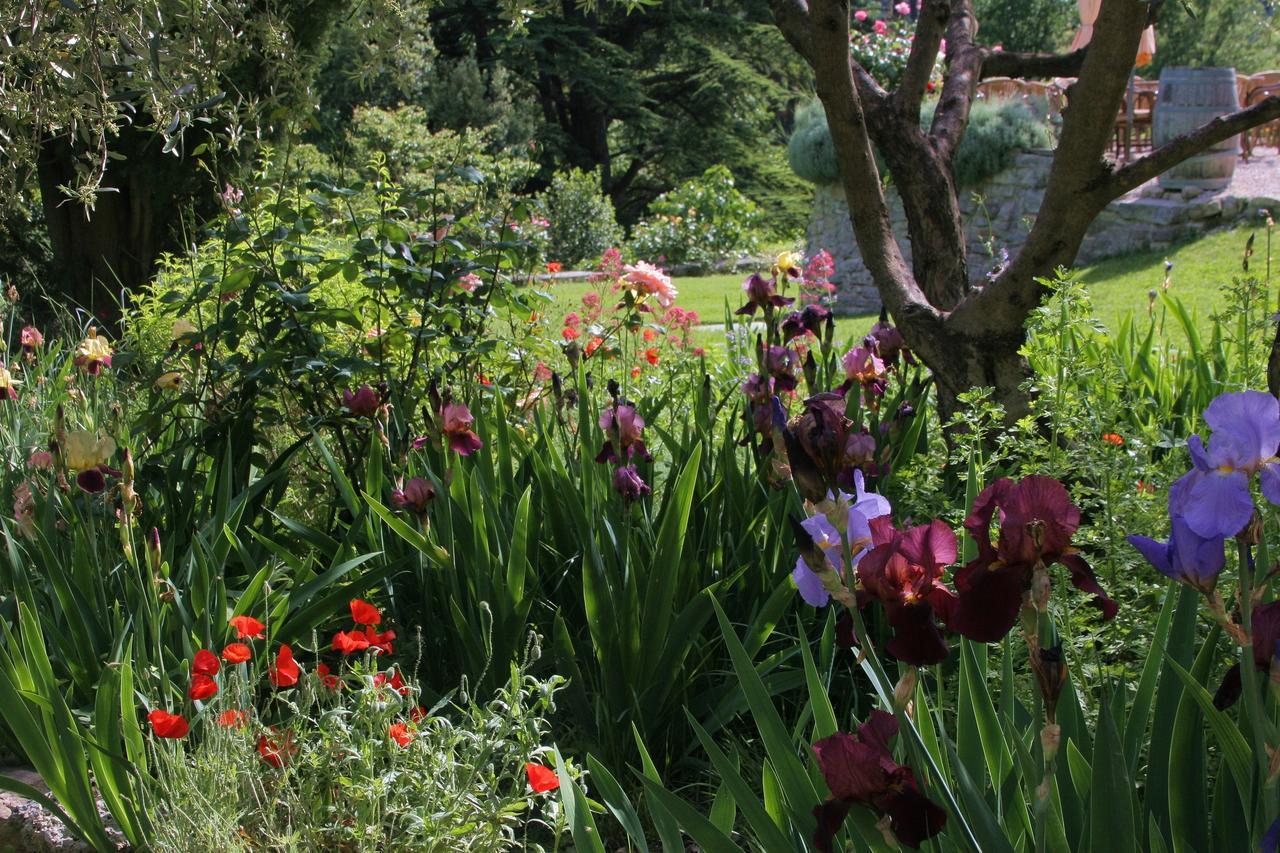 L'Auberge du Cèdre Lauret  Esterno foto